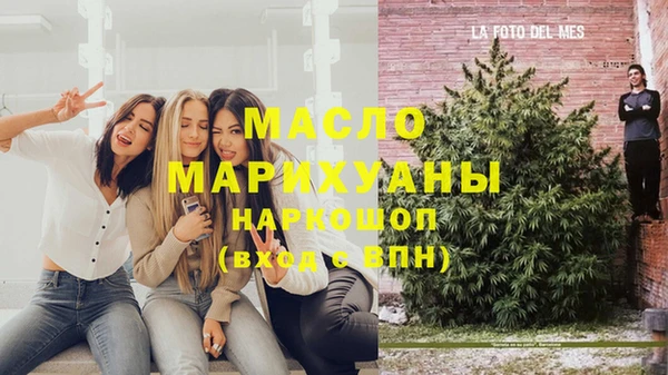 индика Аркадак