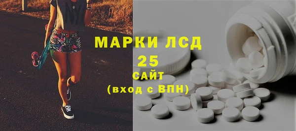 индика Аркадак