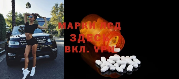индика Аркадак