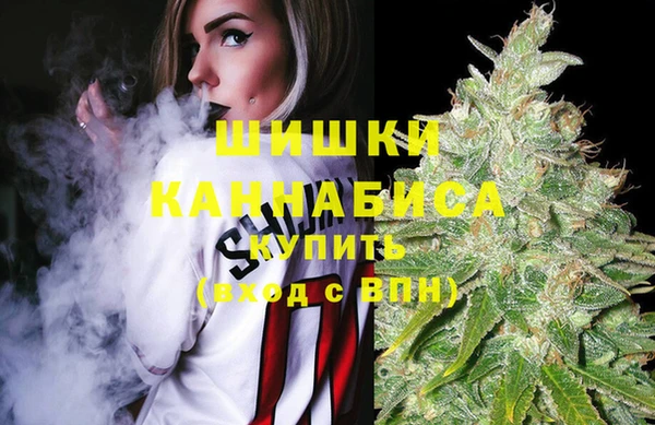 индика Аркадак