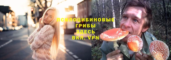 индика Аркадак