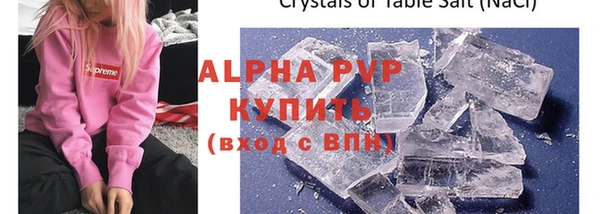 индика Аркадак