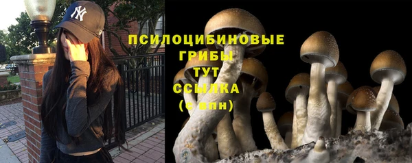 индика Аркадак