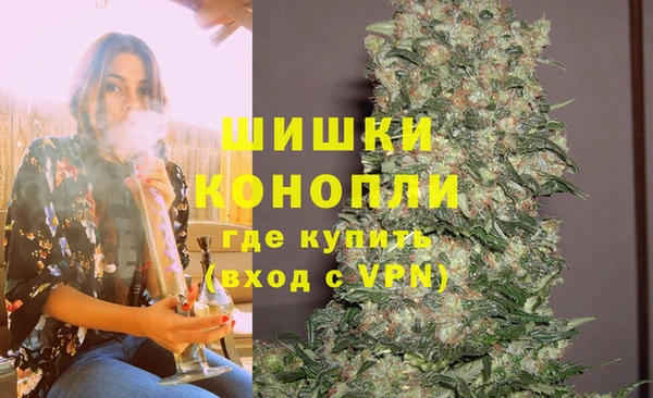 индика Аркадак