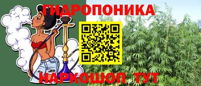 шишки Гусев