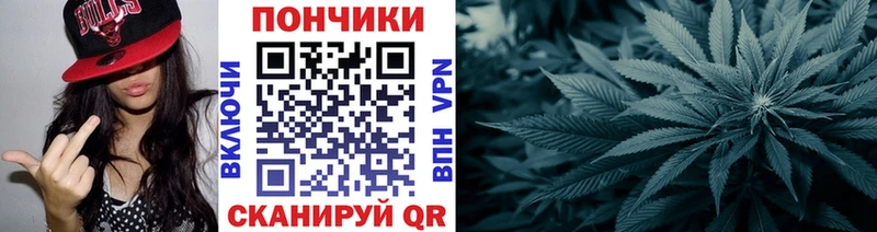 где продают наркотики  Нарткала  Шишки марихуана MAZAR 